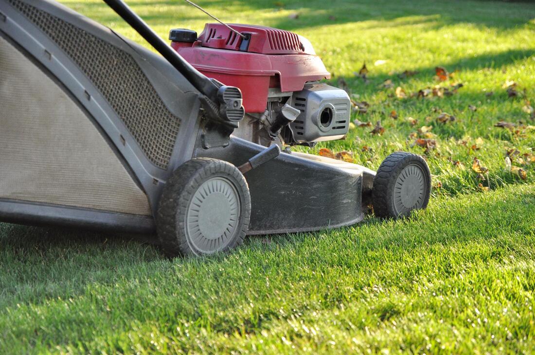 a mowing machine on the lawn